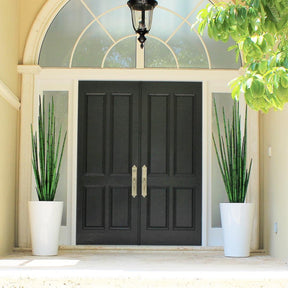 Schlangen-Gras (160 cm) mit Belle M Pflanzgefäß