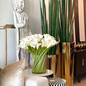 Calla-Lilien im Glaszylinder