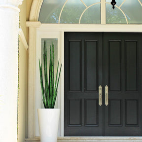 Schlangen-Gras (160 cm) mit Belle M Pflanzgefäß