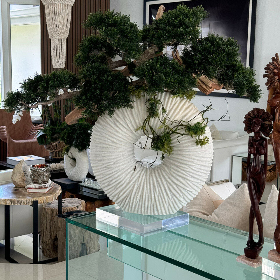 Große Eternity Vase mit hängendem Bonsai und Treibholz