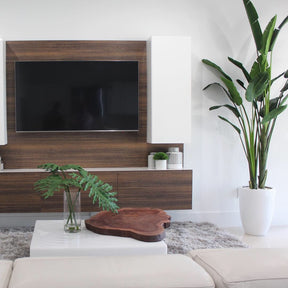 2,7 m Paradiesvogelpflanze mit Ben Pflanzgefäß in Hochglanz-Weiß