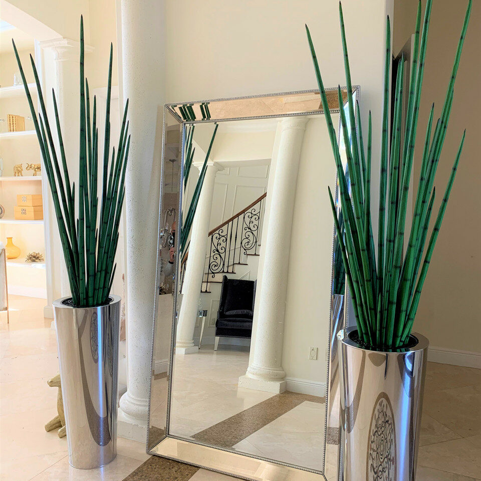 Großer, polierter Edelstahltopf mit großer Schlangen-Graspflanze