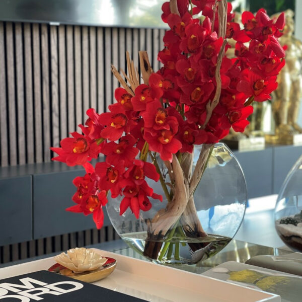 Rote Cymbidium-Orchideen im Moon-Pflanzgefäß